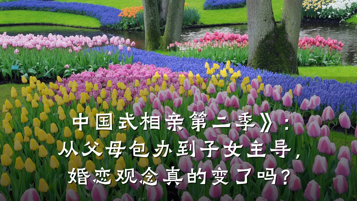 中国式相亲第二季》:从父母包办到子女主导,婚恋观念真的变了吗?