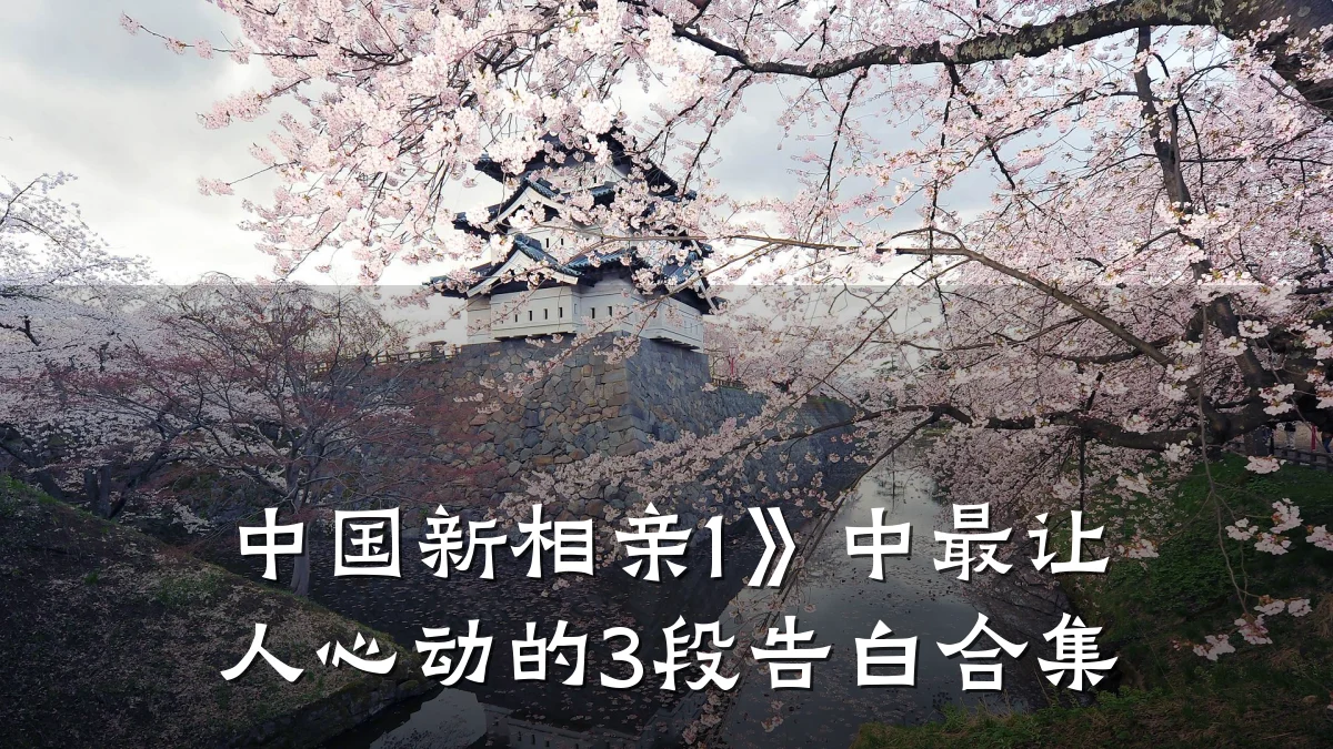中国新相亲1》中最让人心动的3段告白合集