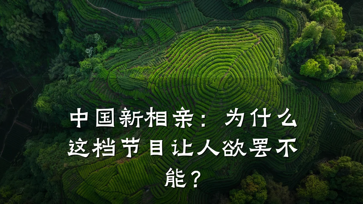 中国新相亲:为什么这档节目让人欲罢不能?