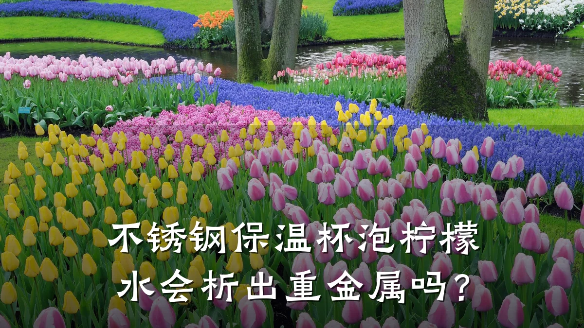 不锈钢保温杯泡柠檬水会析出重金属吗？