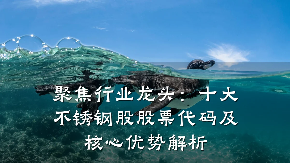 聚焦行业龙头：十大不锈钢股股票代码及核心优势解析