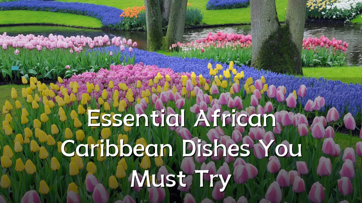 Essential African Caribbean Dishes You Must Try